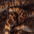 леопард Tissavel